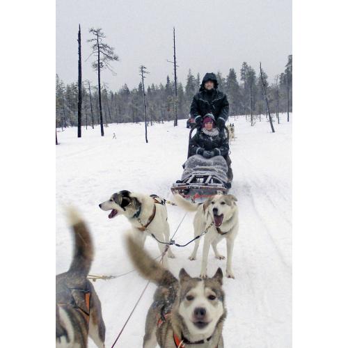 I love my husband and husky sledging, better put them in that order!