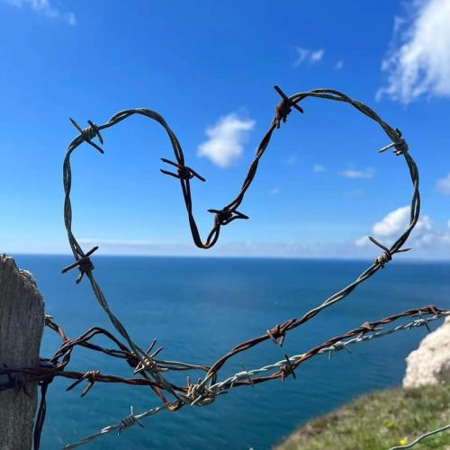 Barbed wire heart view