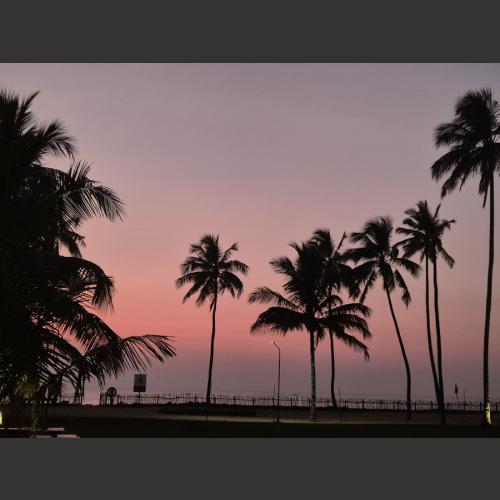 Romantic sunset in Sri Lanka