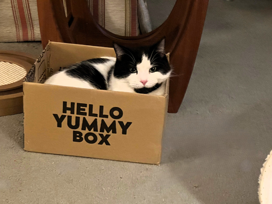 Mr Yummy Box