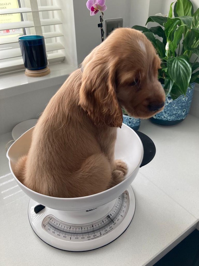 Time to be weighed