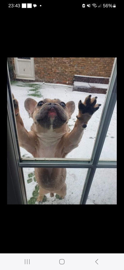 Mummy let me in for a warm cuddle