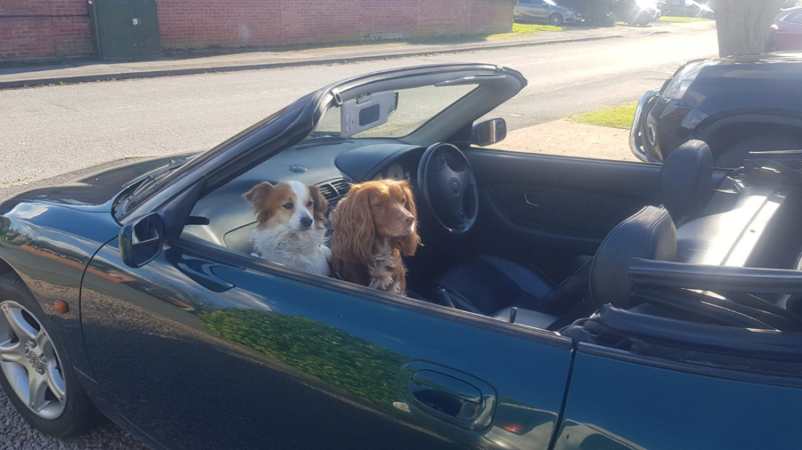 The cutest MGF passengers