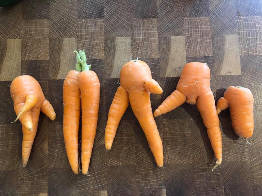 I love growing my own wonky vegetables