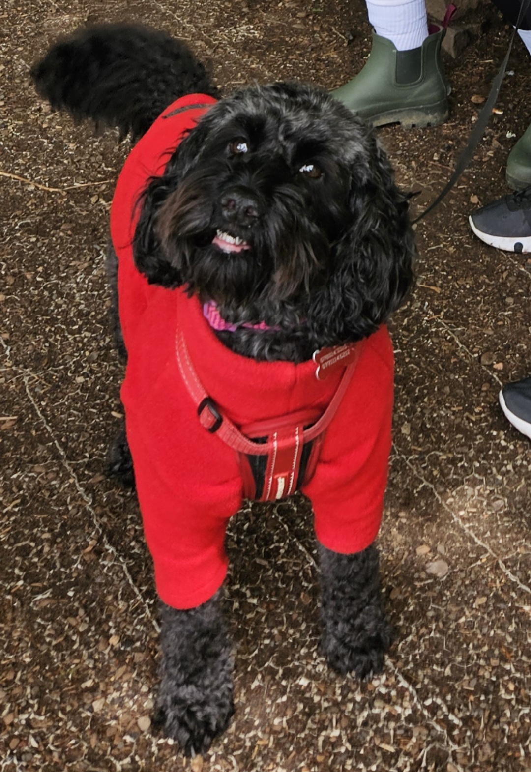 That happiness when you think of the thing. The smile and feeling that comes.