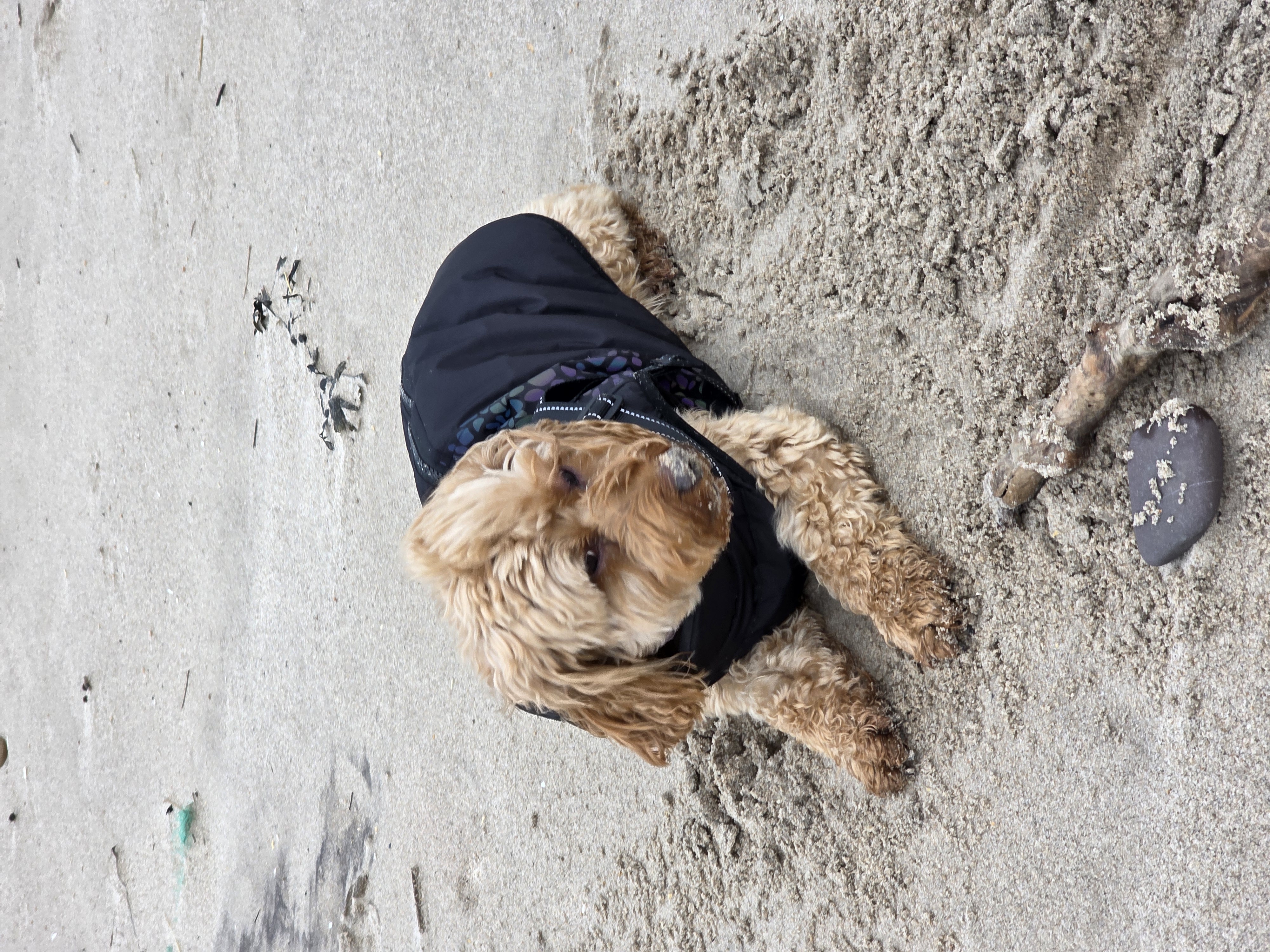 Knowing I can be myself with them