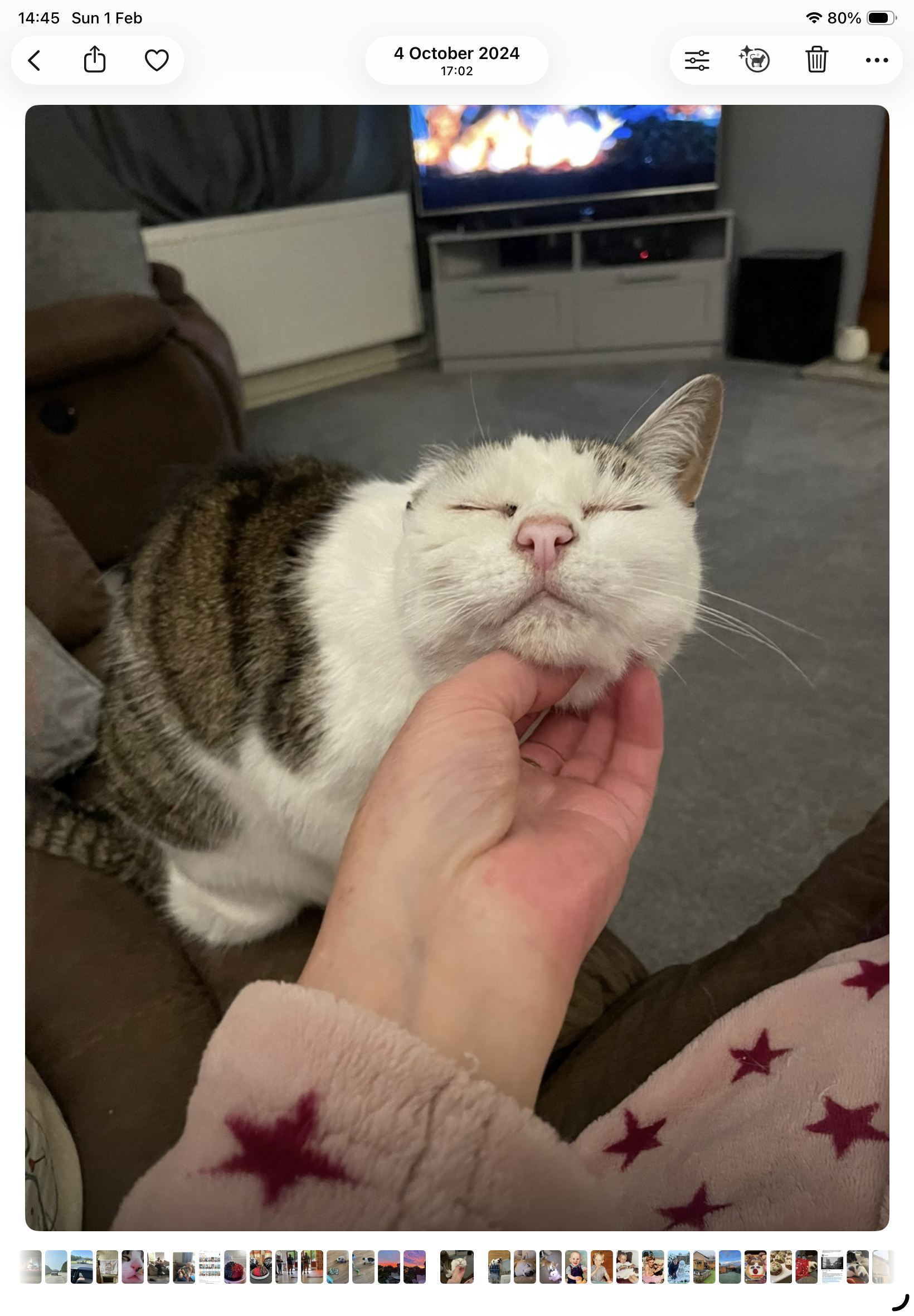 Caring and kindness xx