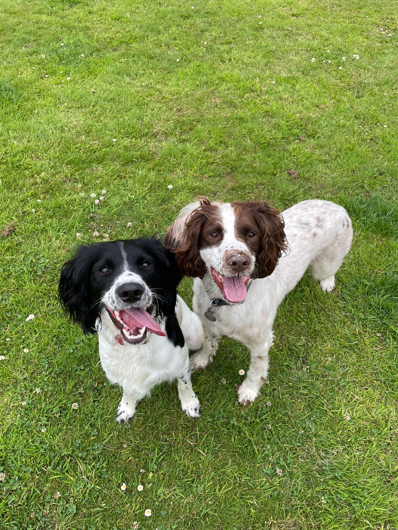 Being with all that means to you