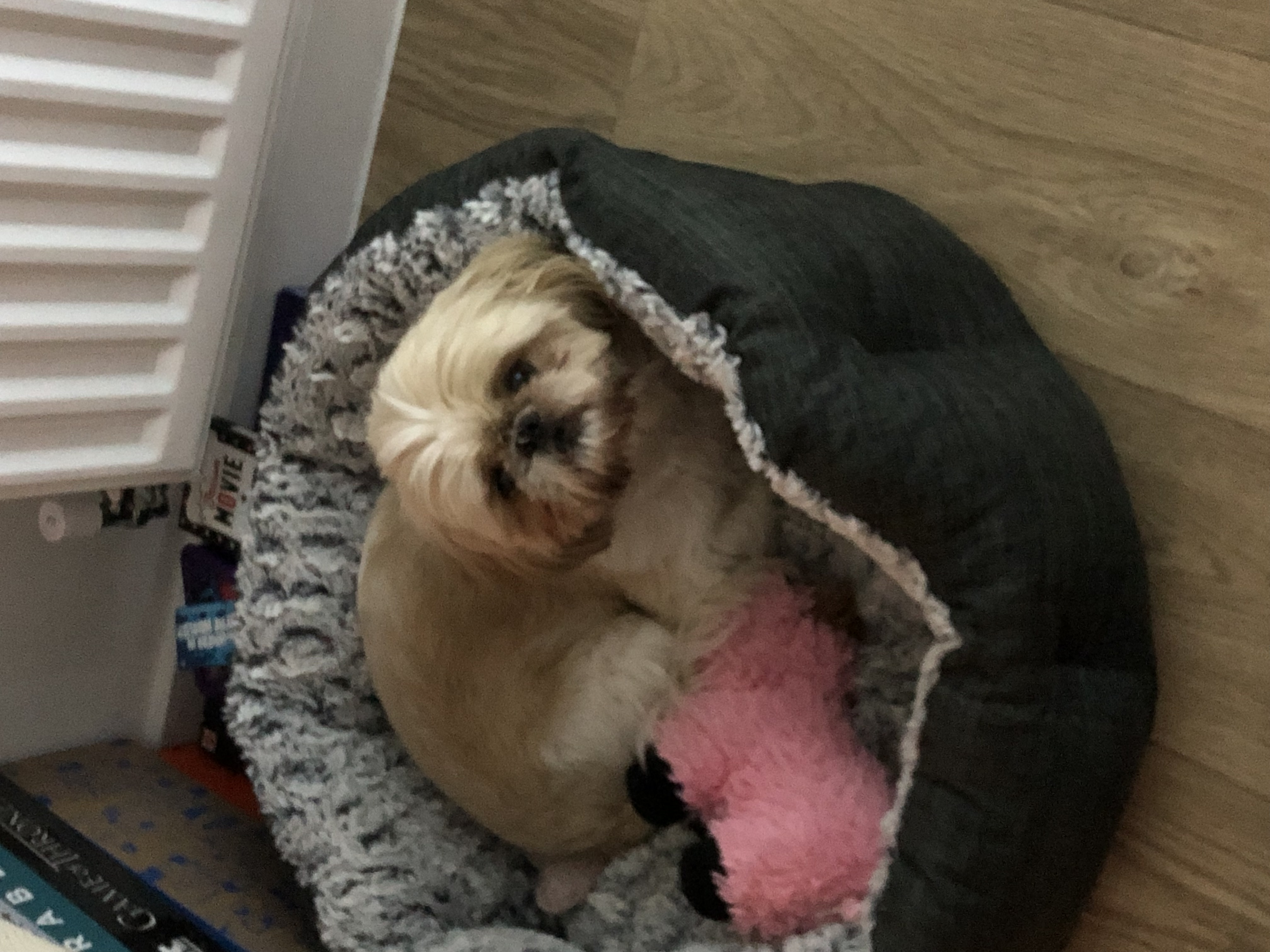 Complete trust and faithfulness