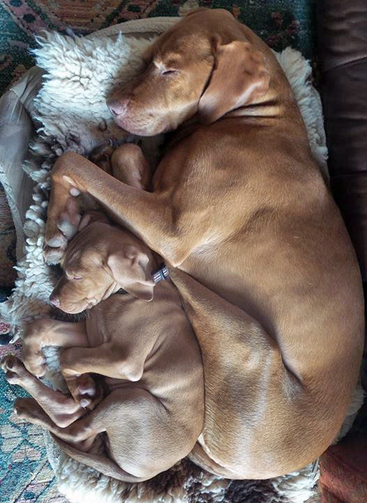 Feeling safe, secure and content, knowing the one you love always has your back