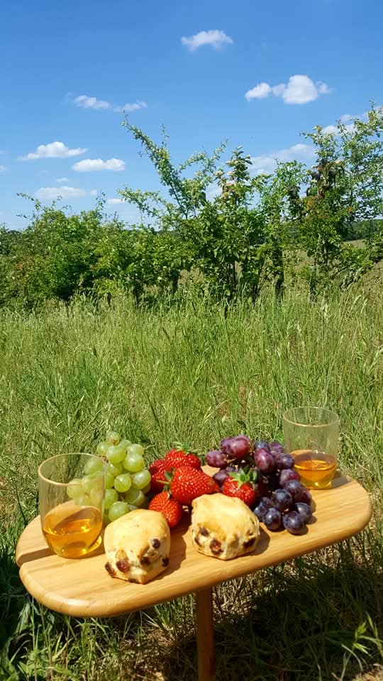 Love is laughter, crumbs, and conversation shared over a simple picnic