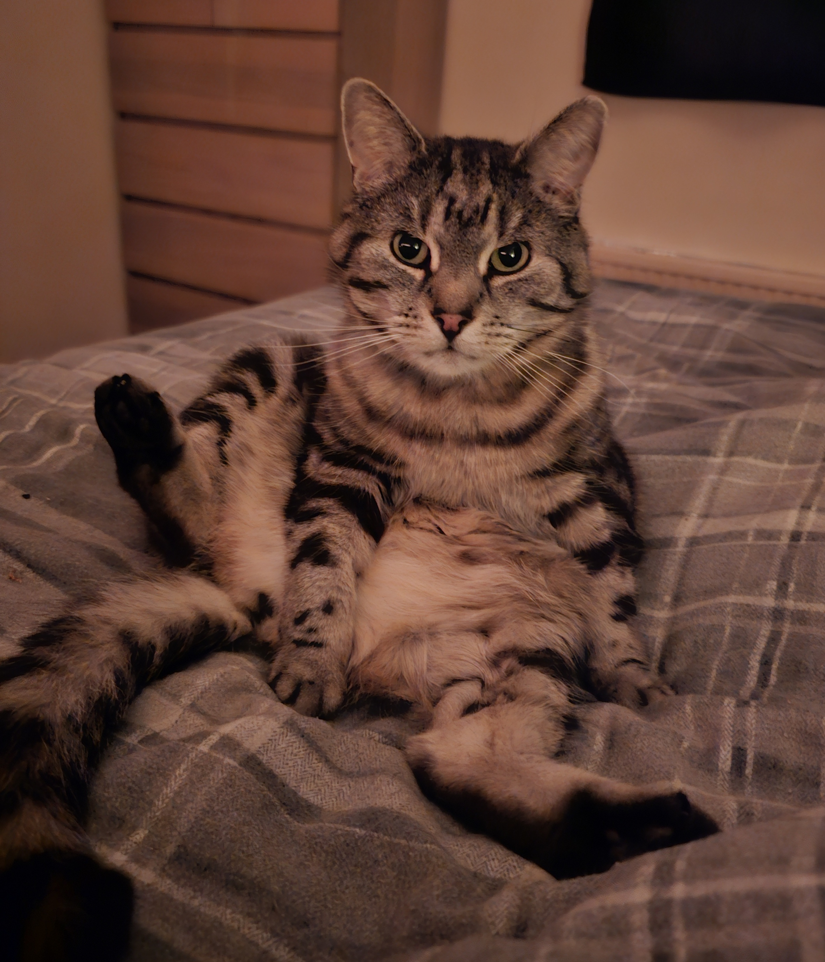 Even when you dislike them, you still adore them.