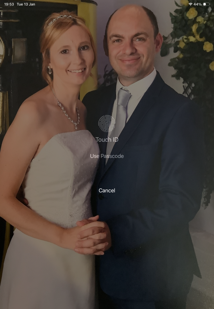 Love is mutual tolerance with snacks and an occasional eye roll