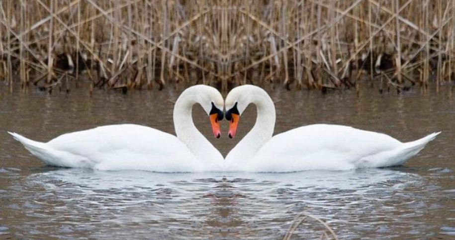 caring thoughtful and bursting with excitement