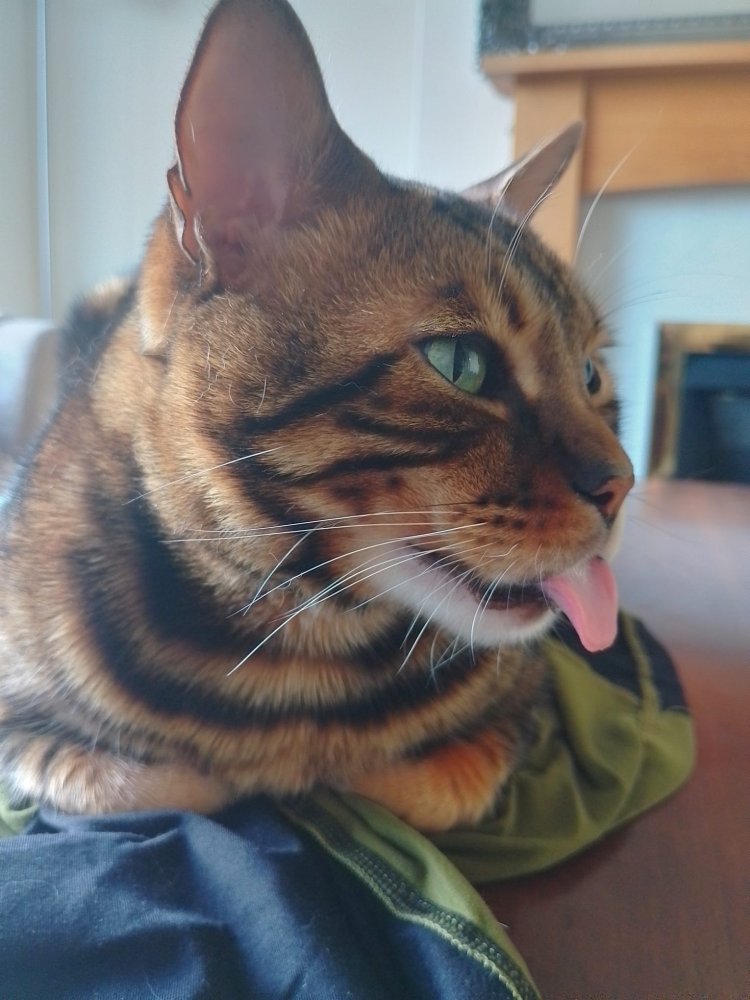 Unconditional love with lots of laughter