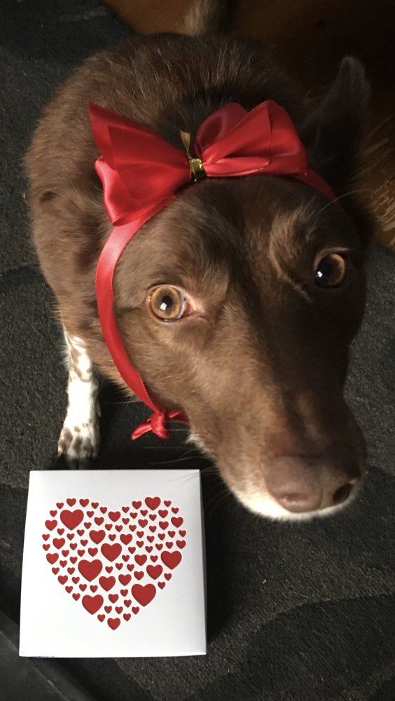 That woozy crazy feeling that should be bottled