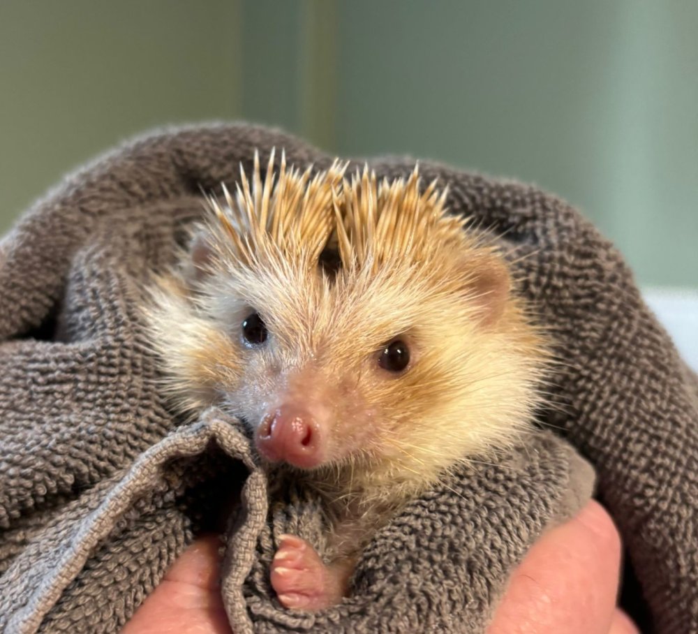 Love is unconditional warmth ♥️