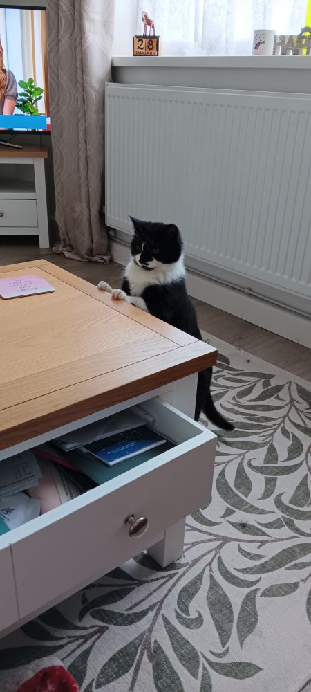 Coming home from a long day to someone who has missed me.