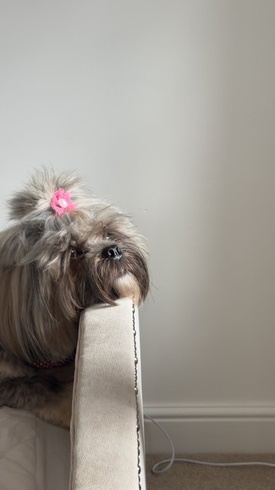 Easy. Being at home all the time.