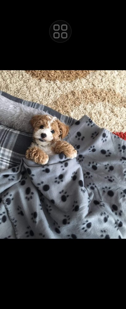 The ones that truly love us will miss us