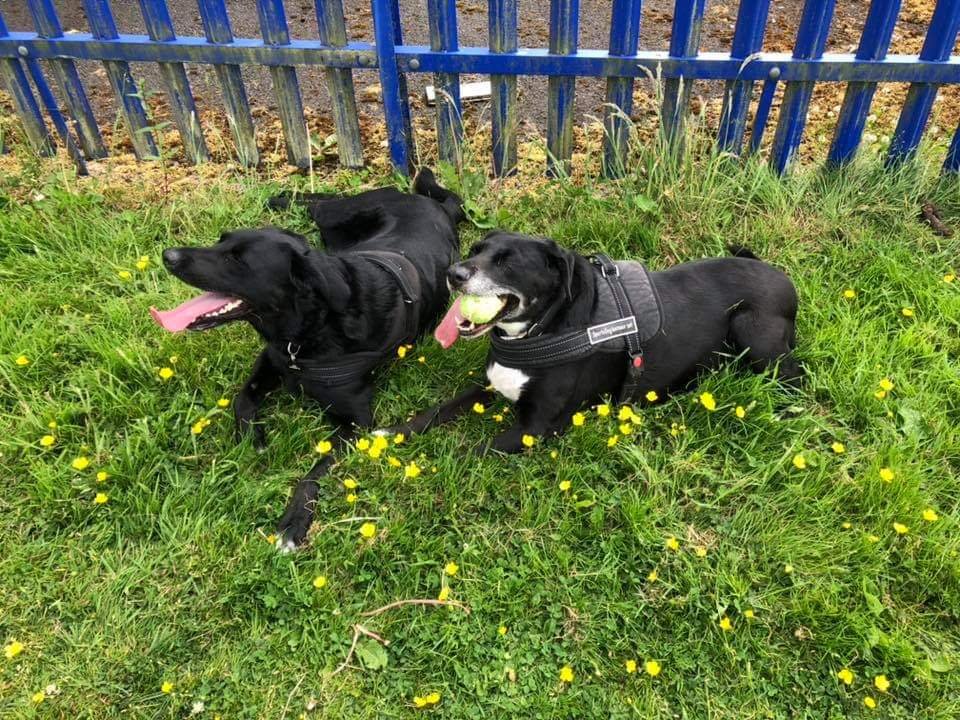 The love of my fur babies ❣️