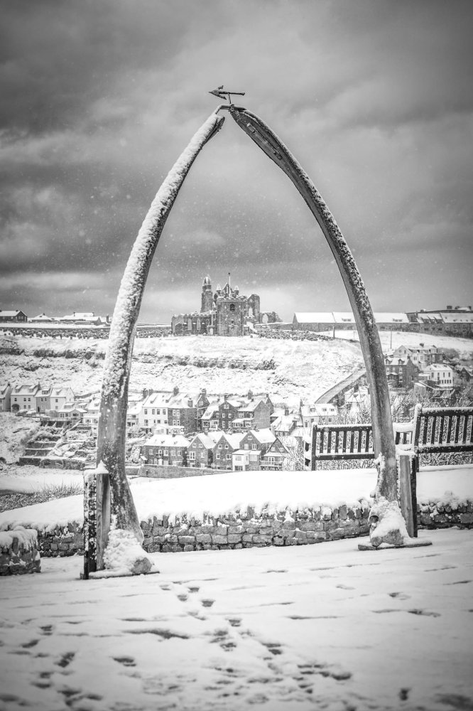 Warmth and care without boundaries