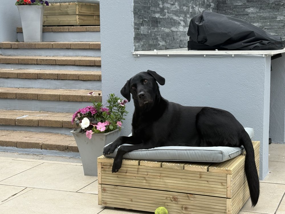 Spending time with that special someone