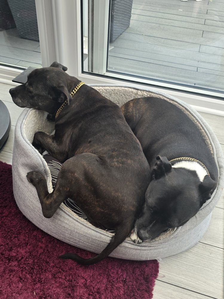 The world and back again. Through good and bad times unconditionally support and encouragement. The little things make all the difference in the world