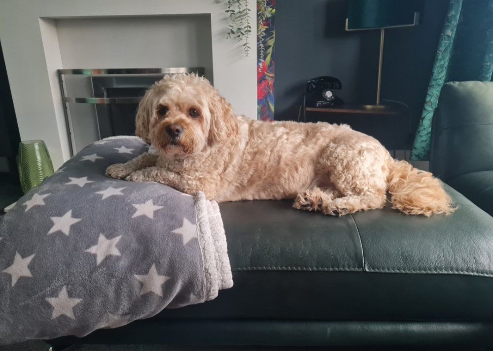 My daughter and my poochie