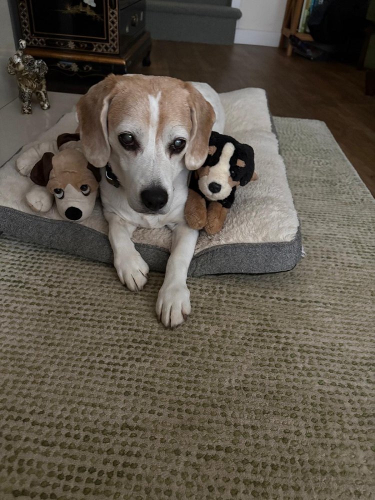 Warmth , compassion and acceptance