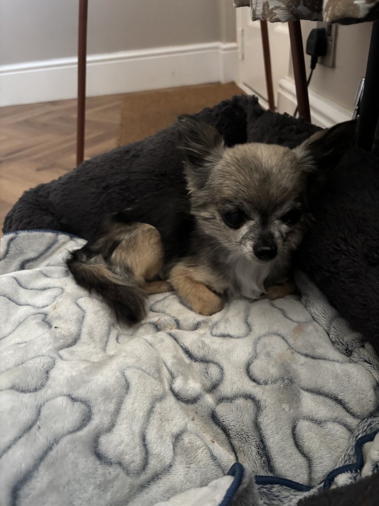 Love makes my life a happy one