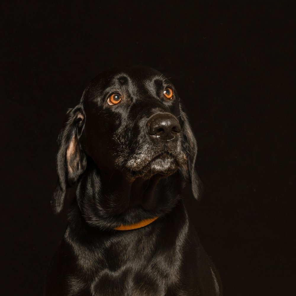 Everything, without love life isn't the same