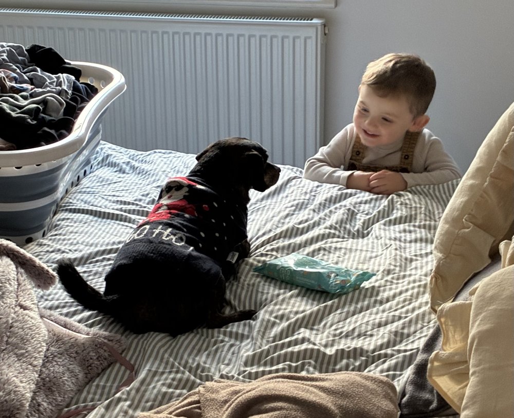 Being happy, content & that feeling of magic