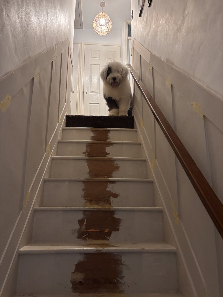 That warm bubbling feeling in my heart that instantly puts a smile on my face.