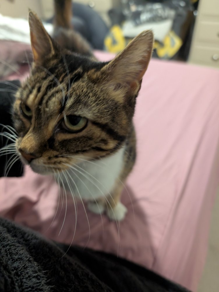 Acceptance, security, kindness