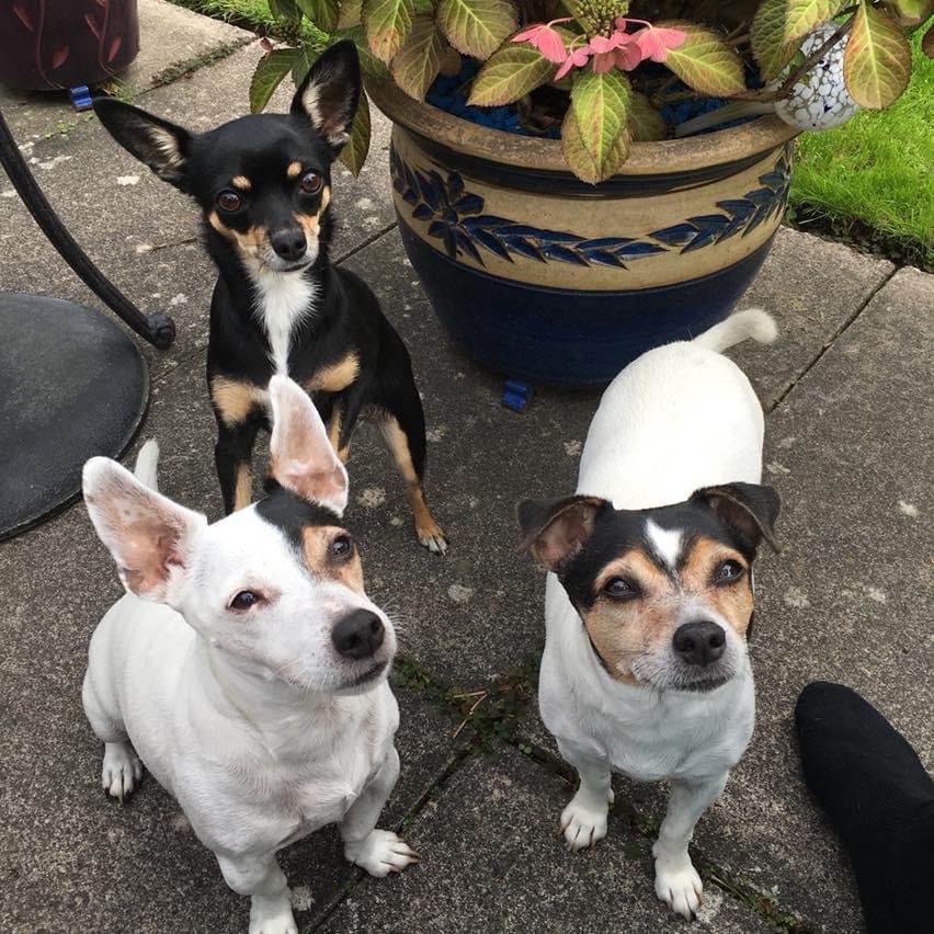 Nice when friends give you a helping hand