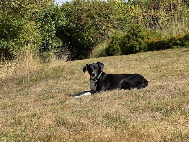 Good company, sense of humour and caring personality with a slightly naughty side!