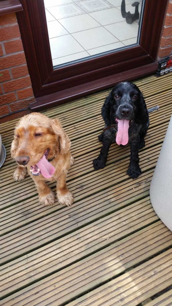 Love is unconditional