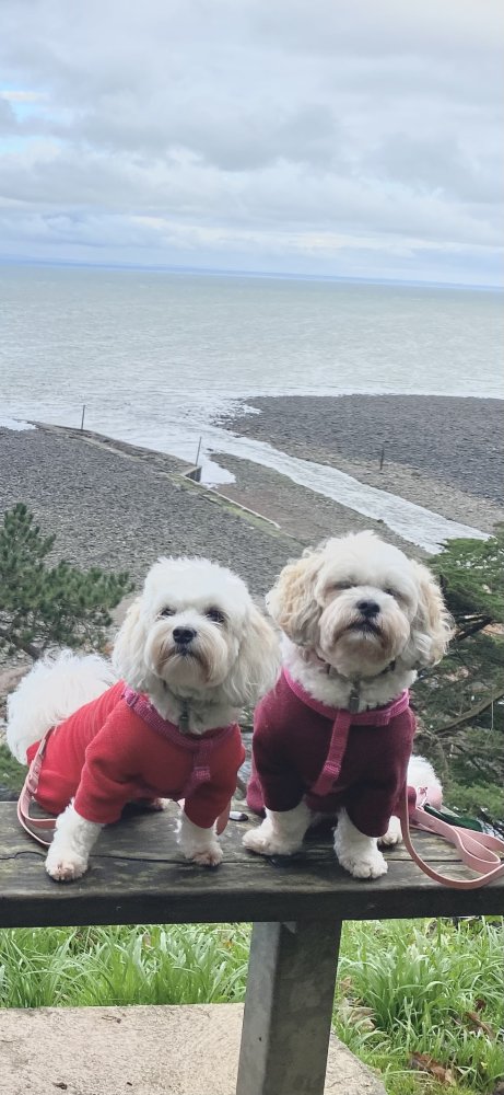 Love is unconditional.