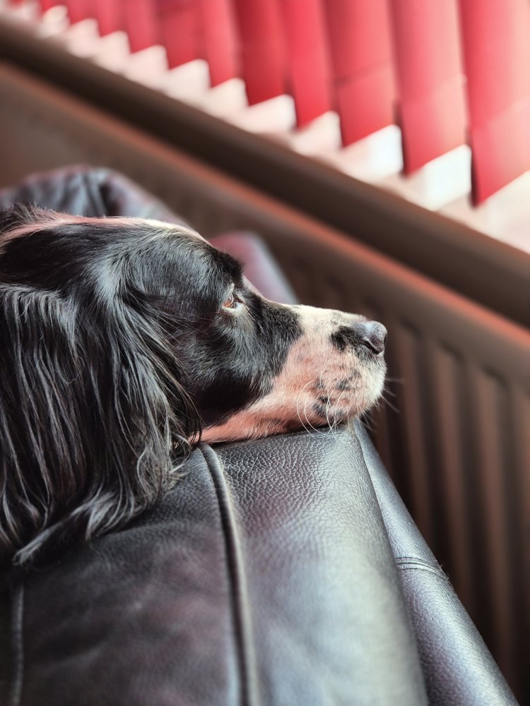 Being there in good times and bad times.