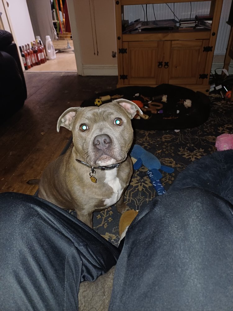 This is my love. Never lets me down and always by my side.