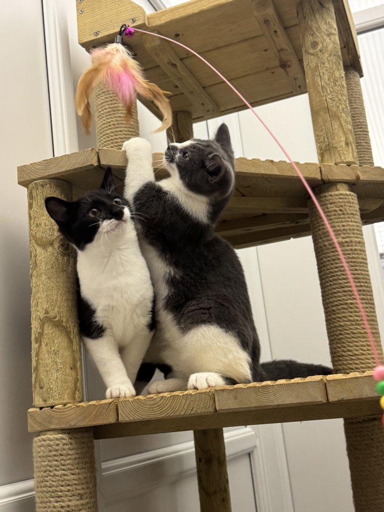 Feeling secure and wanted Feel warm inside