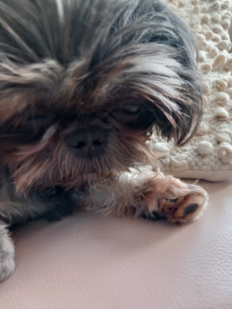 always making that happy