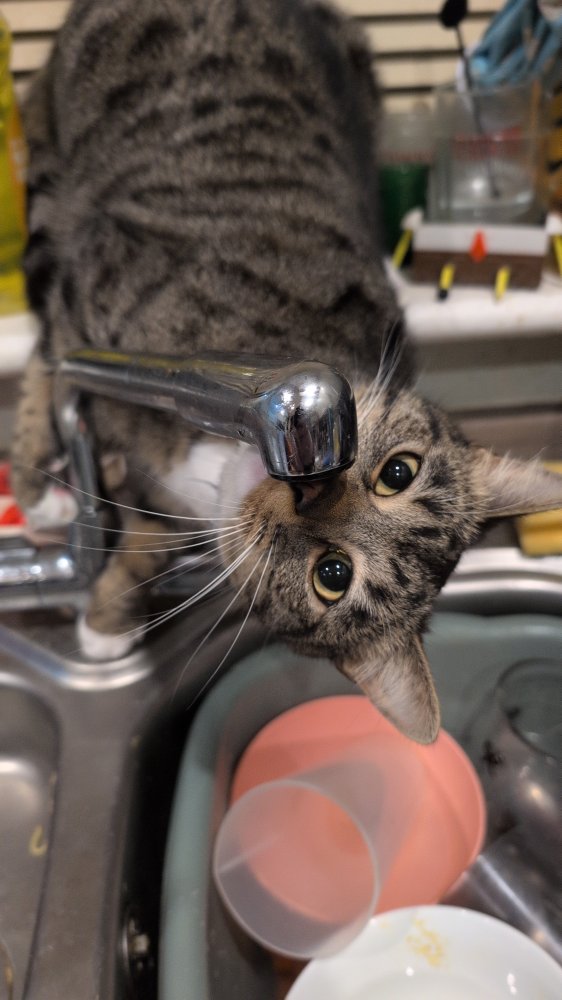 My love, my world, my everything.