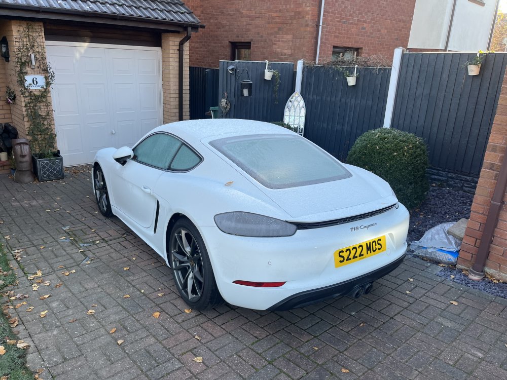 MY WHITE CAYMAN
