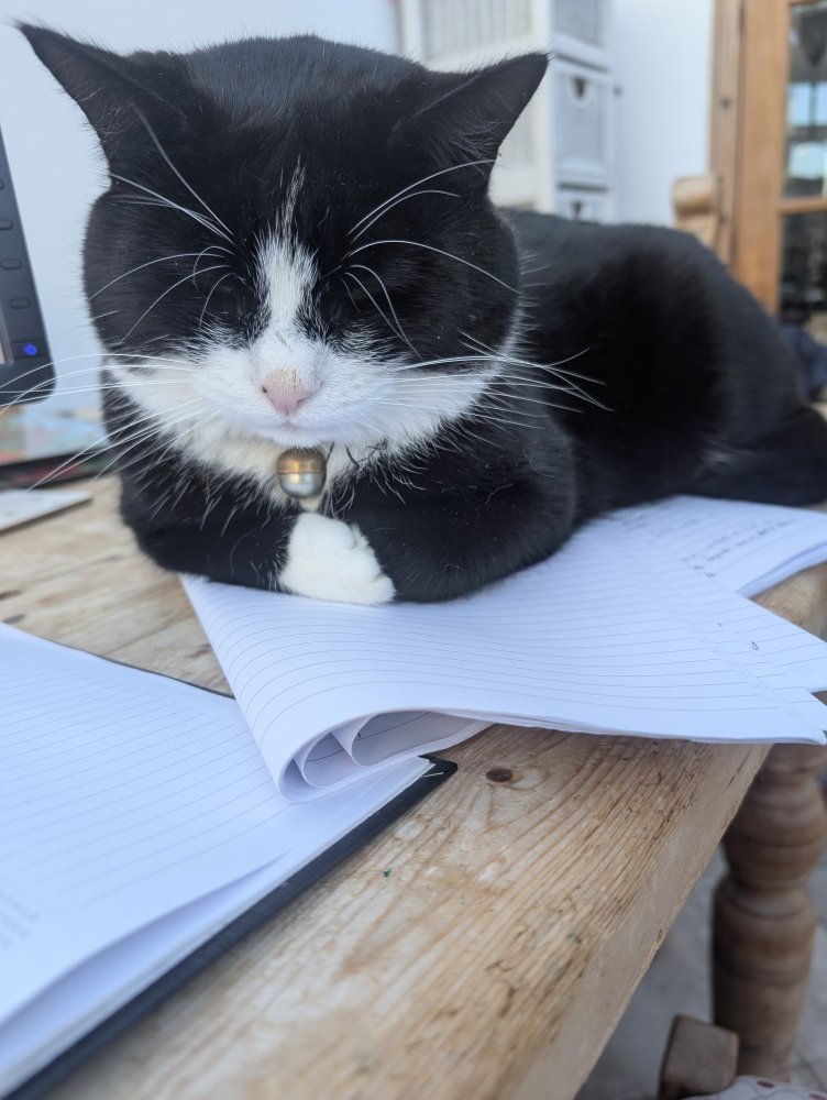 Always being there for you