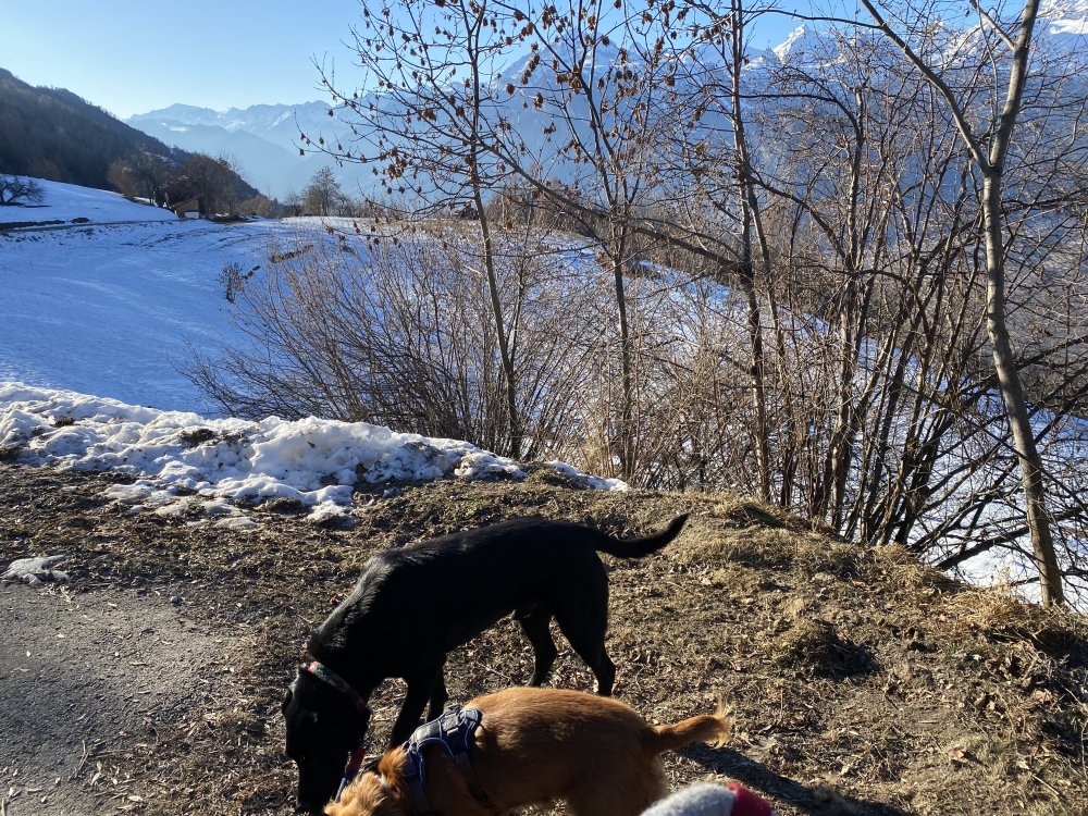 Everything that is best in this world !