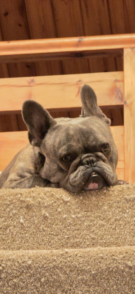 Walking through the door to this face of unconditional love