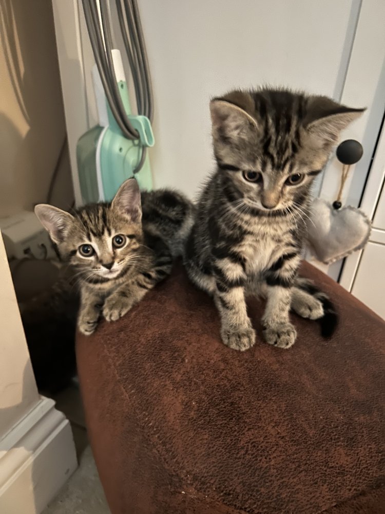 Unconditional love means the world ❤️