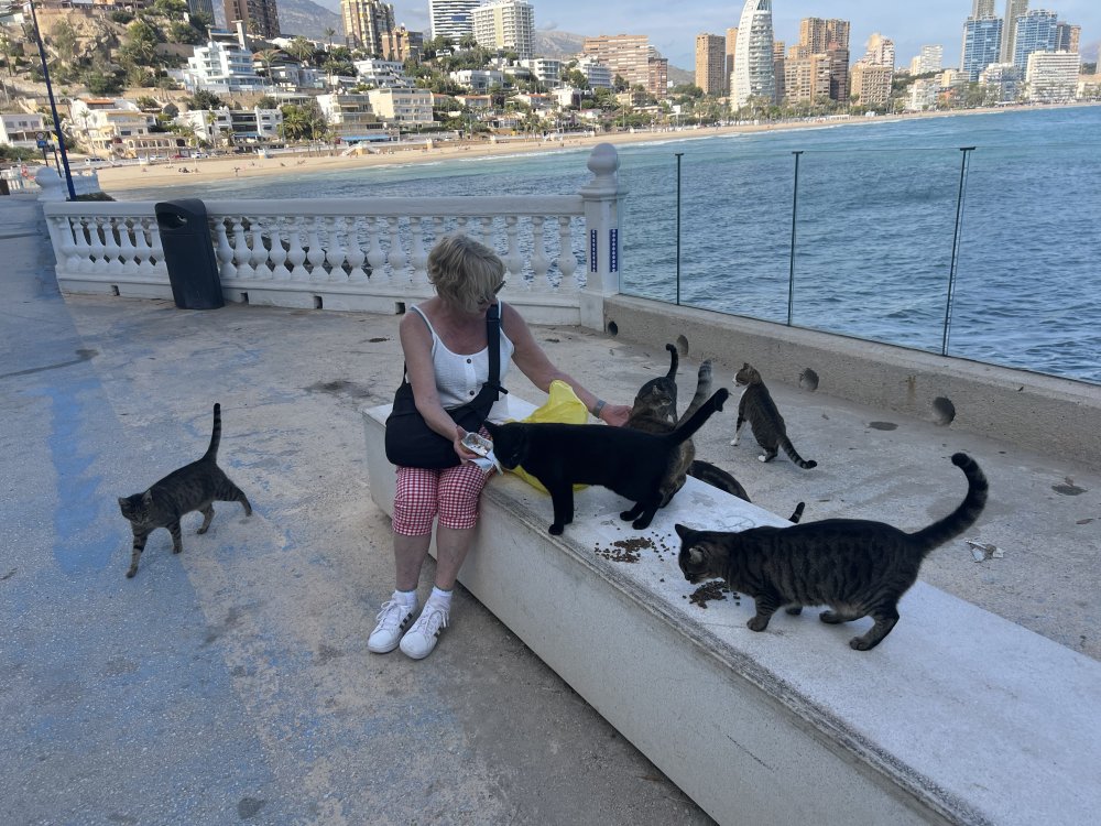 It means knowing they are happy.